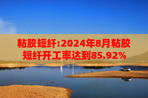粘胶短纤:2024年8月粘胶短纤开工率达到85.92%
