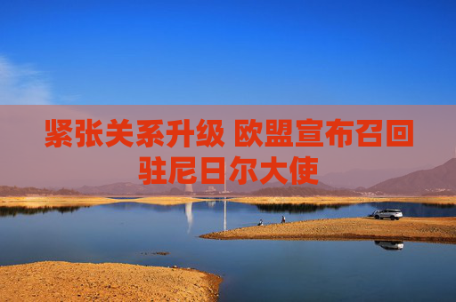紧张关系升级 欧盟宣布召回驻尼日尔大使