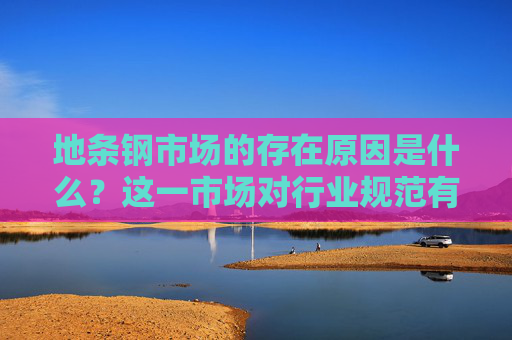 地条钢市场的存在原因是什么？这一市场对行业规范有何挑战？