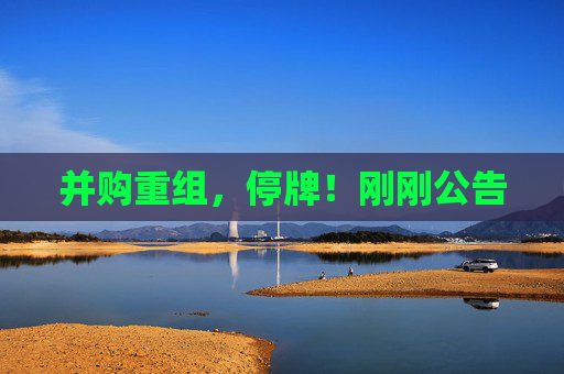 并购重组，停牌！刚刚公告