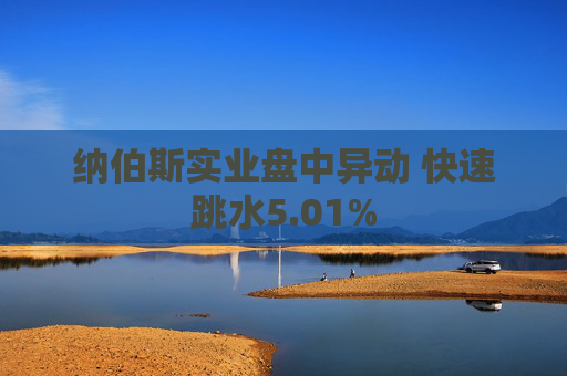 纳伯斯实业盘中异动 快速跳水5.01%