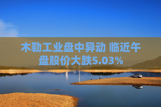 木勒工业盘中异动 临近午盘股价大跌5.03%