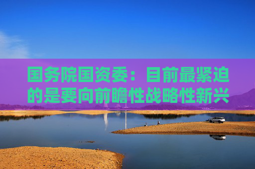 国务院国资委：目前最紧迫的是要向前瞻性战略性新兴产业集中