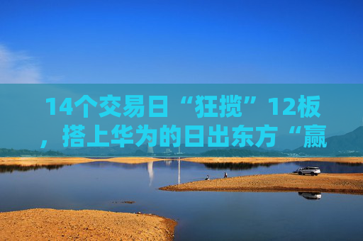 14个交易日“狂揽”12板，搭上华为的日出东方“赢麻了”