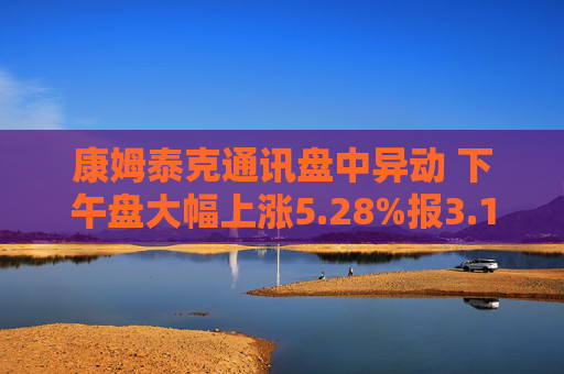康姆泰克通讯盘中异动 下午盘大幅上涨5.28%报3.19美元