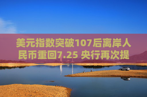 美元指数突破107后离岸人民币重回7.25 央行再次提及汇率弹性 对波动率容忍度或在提升