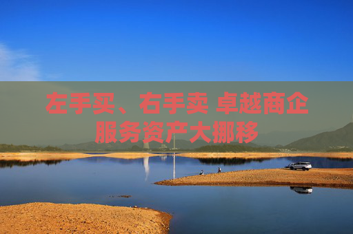 左手买、右手卖 卓越商企服务资产大挪移