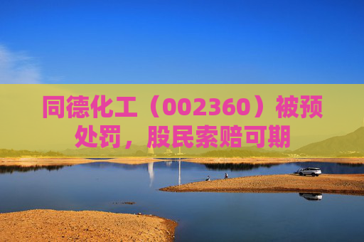 同德化工（002360）被预处罚，股民索赔可期