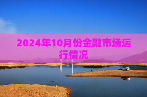 2024年10月份金融市场运行情况