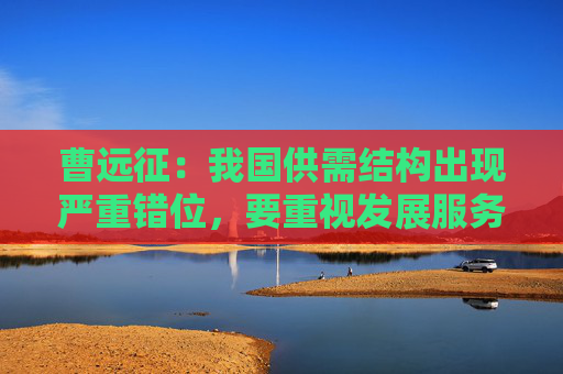 曹远征：我国供需结构出现严重错位，要重视发展服务型消费