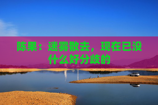 陈果：迷雾散去，现在已没什么好分歧的