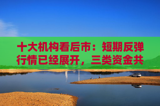 十大机构看后市：短期反弹行情已经展开，三类资金共振推动跨年行情