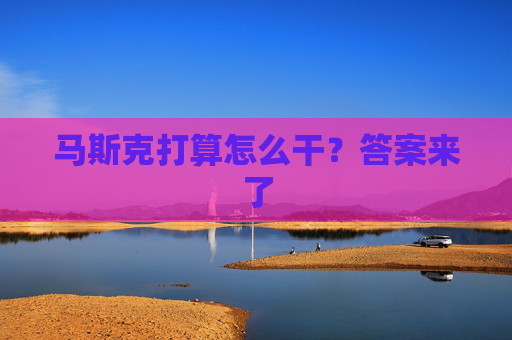 马斯克打算怎么干？答案来了