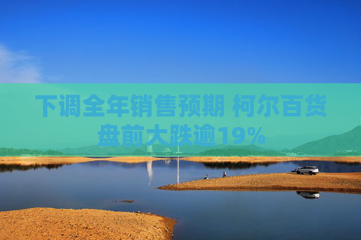 下调全年销售预期 柯尔百货盘前大跌逾19%