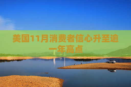 美国11月消费者信心升至逾一年高点