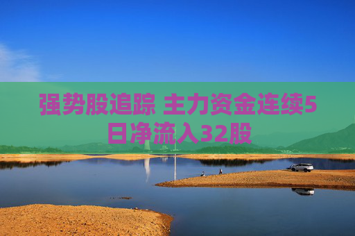 强势股追踪 主力资金连续5日净流入32股