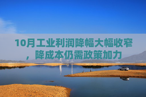 10月工业利润降幅大幅收窄，降成本仍需政策加力