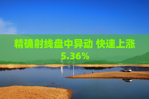 精确射线盘中异动 快速上涨5.36%