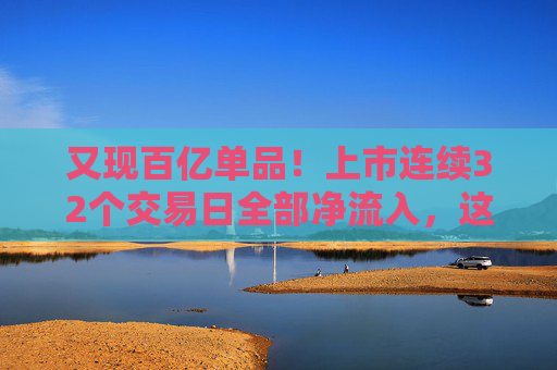 又现百亿单品！上市连续32个交易日全部净流入，这只ETF为什么这么火？