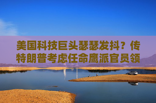 美国科技巨头瑟瑟发抖？传特朗普考虑任命鹰派官员领导反垄断部门