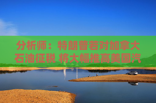 分析师：特朗普若对加拿大石油征税 将大幅推高美国汽油零售价