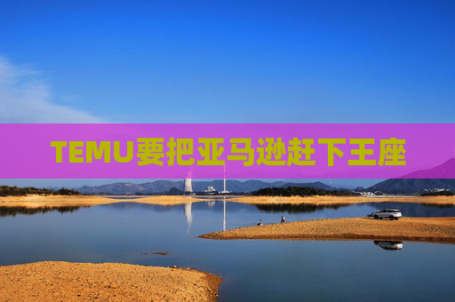 TEMU要把亚马逊赶下王座