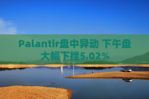 Palantir盘中异动 下午盘大幅下挫5.02%