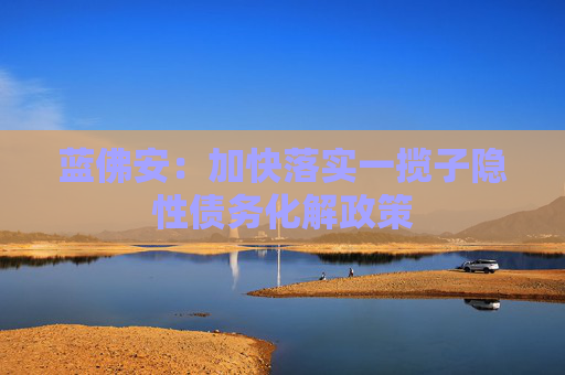 蓝佛安：加快落实一揽子隐性债务化解政策