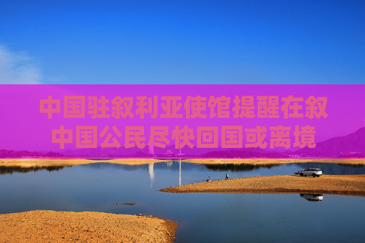 中国驻叙利亚使馆提醒在叙中国公民尽快回国或离境