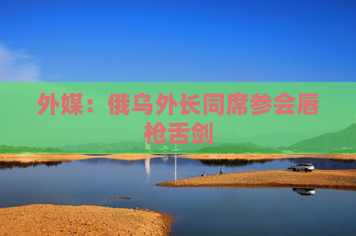 外媒：俄乌外长同席参会唇枪舌剑