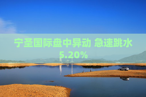 宁圣国际盘中异动 急速跳水5.20%