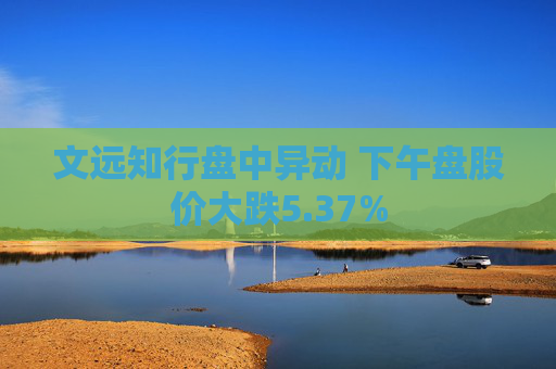 文远知行盘中异动 下午盘股价大跌5.37%