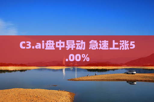 C3.ai盘中异动 急速上涨5.00%