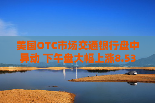 美国OTC市场交通银行盘中异动 下午盘大幅上涨8.53%报19.63美元