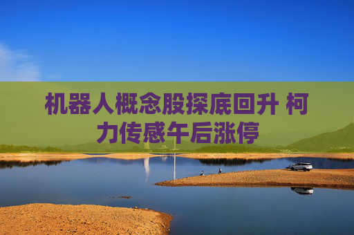 机器人概念股探底回升 柯力传感午后涨停