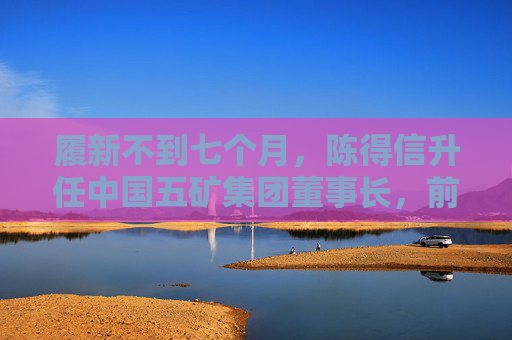 履新不到七个月，陈得信升任中国五矿集团董事长，前任近四个月未公开露面