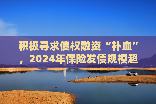 积极寻求债权融资“补血”，2024年保险发债规模超千亿元