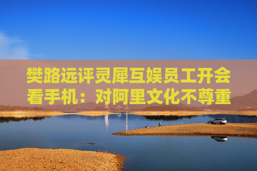 樊路远评灵犀互娱员工开会看手机：对阿里文化不尊重的臭毛病