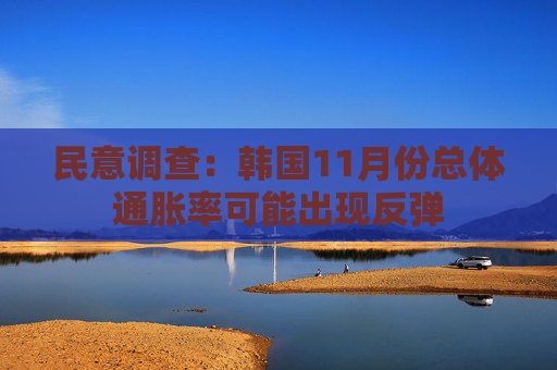 民意调查：韩国11月份总体通胀率可能出现反弹