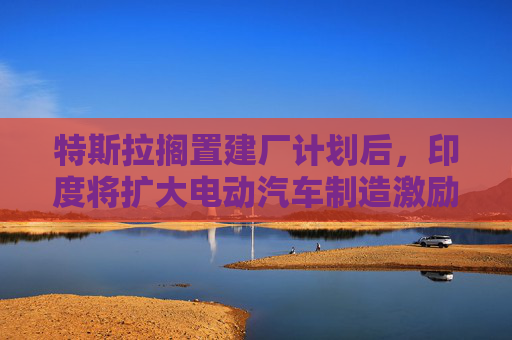 特斯拉搁置建厂计划后，印度将扩大电动汽车制造激励措施
