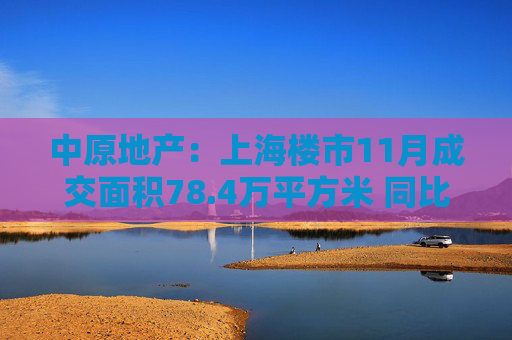 中原地产：上海楼市11月成交面积78.4万平方米 同比增长48.8%