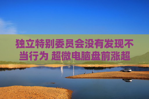 独立特别委员会没有发现不当行为 超微电脑盘前涨超18%