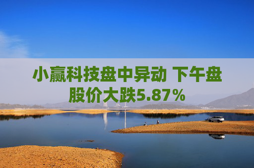 小赢科技盘中异动 下午盘股价大跌5.87%