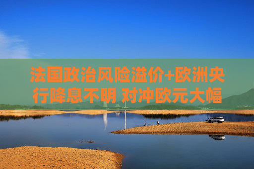 法国政治风险溢价+欧洲央行降息不明 对冲欧元大幅波动成本触及2023年3月以来新高