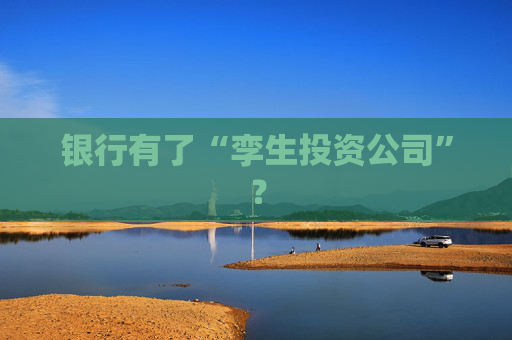 银行有了“孪生投资公司”？