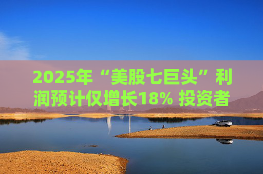 2025年“美股七巨头”利润预计仅增长18% 投资者开始寻找新目标