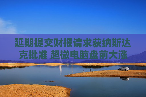 延期提交财报请求获纳斯达克批准 超微电脑盘前大涨超8%