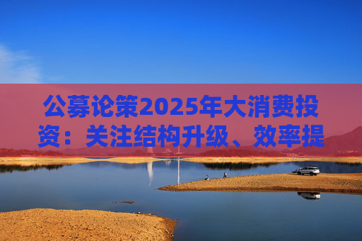 公募论策2025年大消费投资：关注结构升级、效率提升和创新驱动三条主线
