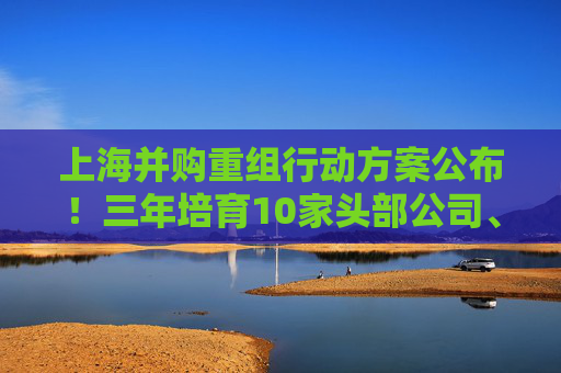 上海并购重组行动方案公布！三年培育10家头部公司、形成3000亿并购规模