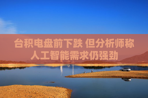 台积电盘前下跌 但分析师称人工智能需求仍强劲